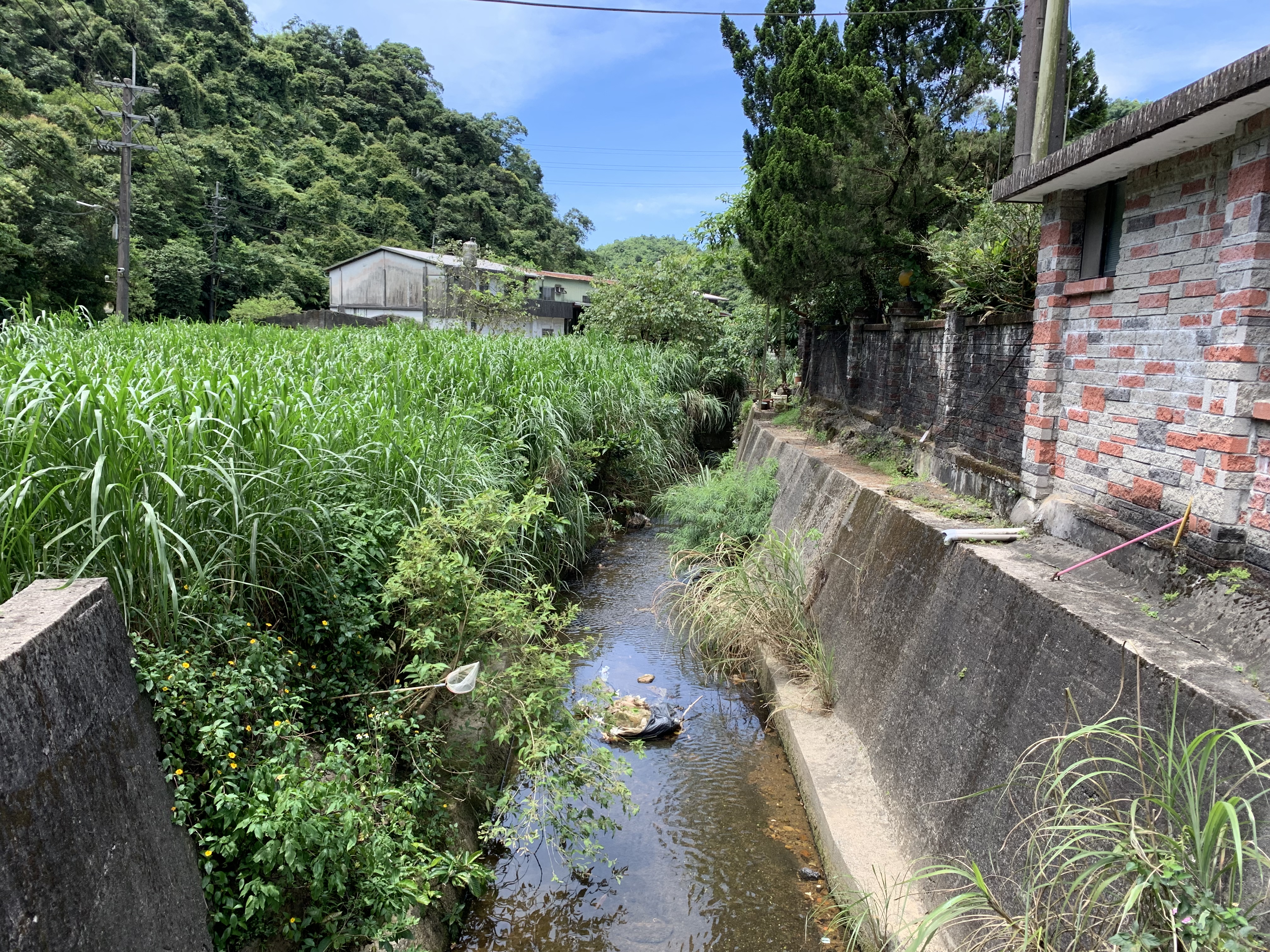 ecological_check_project_of_keelung_city_2019